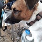 Profile Picture of Peter Pryor (@peter.pryor1) on Instagram