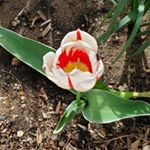 Jeri Otero - Instagram Profile Picture of Jeri Otero (@oterojeri) on Instagram