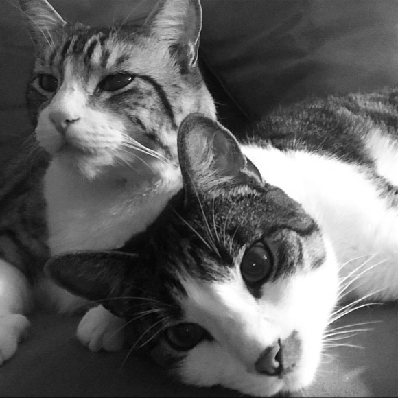 Profile Picture of Jennifer Rolander (@mermaidgirl50) on Poshmark