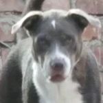 Profile Picture of Isis Sánchez (@isis.sanchez31) on Instagram