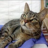 Profile Picture of Lucio Muratore (@lucio-muratore) on Quora