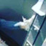 Profile Picture of anna_fidlerova (@anna_fidleriva) on Instagram