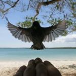 Profile Picture of David Weidinger (@davidweidinger) on Instagram