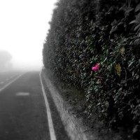 Profile Picture of Rachel Veiders (@rachel-veiders) on Quora