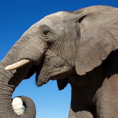 Profile Picture of Danny Talbert (@DannyTalbert1) on Twitter