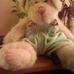 Profile Picture of Denise Anstey (@denise.anstey.73) on Facebook