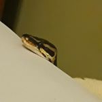 Profile Picture of Jake Albers (@jake_albers1056) on Instagram