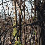 Profile Picture of John Mcleod (@johnmcleod1) on Flickr