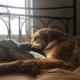 Profile Picture of Kami Anderson (@Kami2770) on Pinterest