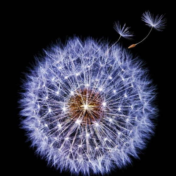 Profile Picture of Barbara Mccumby (@bj1955_) on Poshmark