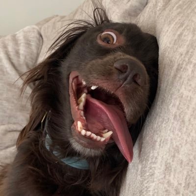 Profile Picture of Tori Holmes (@toriholmes1108) on Twitter