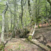 Profile Picture of ALEJANDRO IGLESIAS GONZALEZ (@jandrigo) on Youtube