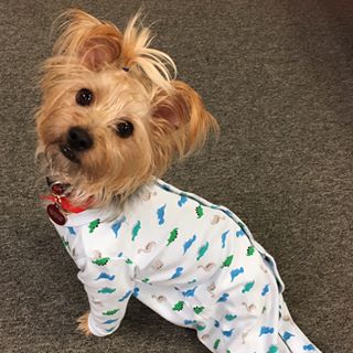 Profile Picture of Paula Copper (@paula.copper.9440) on Facebook