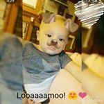 Profile Picture of susi&felix (@felix_susi_vargas) on Instagram