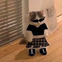 Profile Picture of Asia Hall-curry (@asia-hall-curry) on Quora