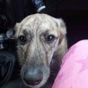 Kimberly Jansen - Youtube Profile Picture of Kimberly Jansen (@kimberlyjansen9473) on Youtube