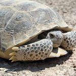 Profile Picture of Breen Deegar (@breendeegar) on Instagram