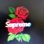 Stacy peck - Instagram Profile Picture of Stacy peck (@speckjr_1234) on Instagram