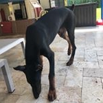 Profile Picture of Luis Saez (@luissaezpty) on Instagram