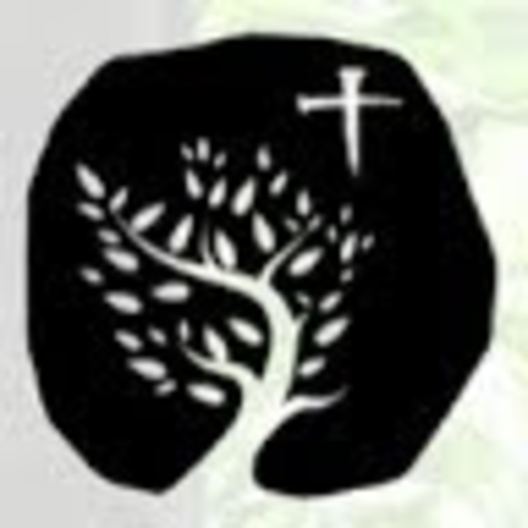 Profile Picture of Mark Odland (@m2p2) on Poshmark