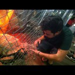 Profile Picture of Chris Willard (@c_willard) on Instagram