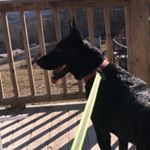 Profile Picture of Felipe medrano (@felipe.medrano25) on Instagram