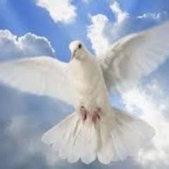 Profile Picture of Barbara Baines (@deputy170755) on Twitter