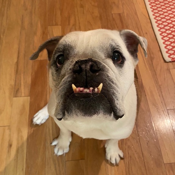 Profile Picture of Joshua Schwinghamer (@jschwinghamer) on Poshmark