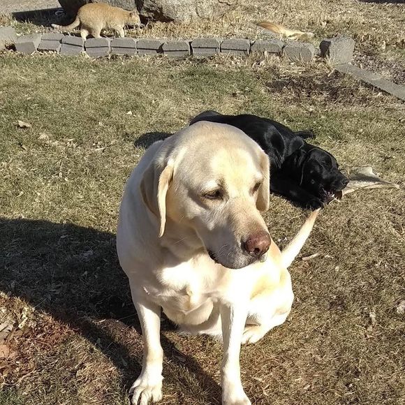 Profile Picture of Jonny Ruhr (@jdruhrster) on Poshmark