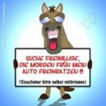 Profile Picture of Markus Grieser (@markusgrieser) on Instagram