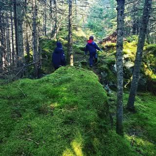 Profile Picture of Marc Rioux (@riouxmarc) on Instagram