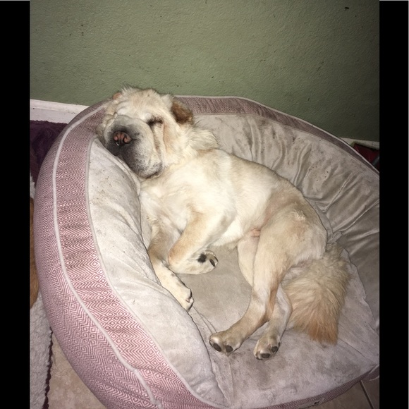 Profile Picture of Brenda Stoyer (@brendastoyer) on Poshmark