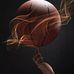 Profile Picture of Stephen Digman (@stephen.digman) on Facebook