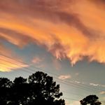 Profile Picture of William Perrone (@perrone.william) on Instagram