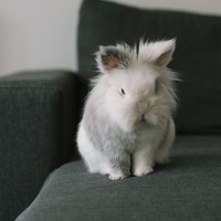 Profile Picture of Lavinia Boeriu (@lavinia-boeriu) on Quora