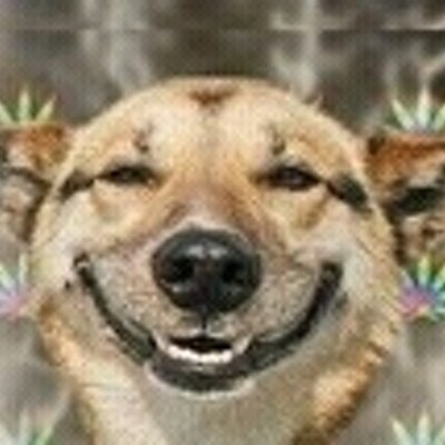 Profile Picture of Mark Masterson (@markmasterson73) on Twitter