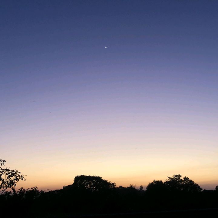 Profile Picture of Victor Almaraz (@almarazig) on Tiktok