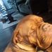 Profile Picture of Janet Suddarth (@Janet-Suddarth) on Facebook