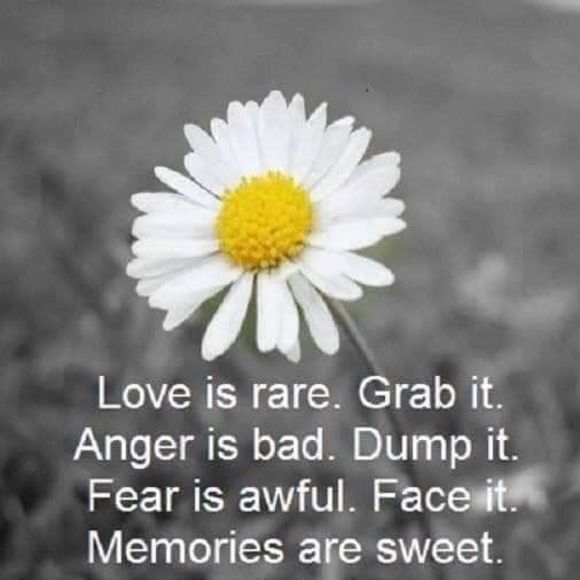 Profile Picture of Debra Long (@samdeb60) on Poshmark