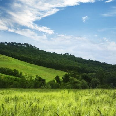 Profile Picture of John waget (@john.waget) on Tiktok