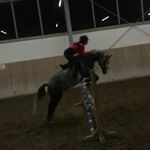 Julia Eder - Instagram Profile Picture of Julia Eder (@ederjulia5) on Instagram