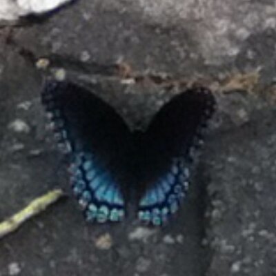 Profile Picture of Jerri Roberts Turney (@RobertsJerri) on Twitter
