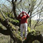 Profile Picture of asgharhasanlo2020 (@asgharhasanlo2020) on Instagram