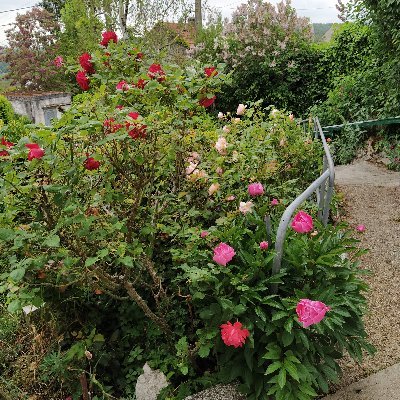 Profile Picture of Catherine Fay (@Catheri59102130) on Twitter