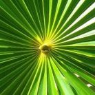 Profile Picture of Natalie White (@NatalieWhite48) on Pinterest