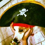 Joann Whitney - Instagram Profile Picture of Joann Whitney (@tlnerradend) on Instagram