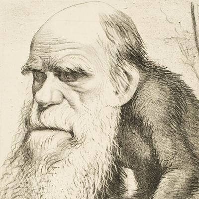 Profile Picture of Take That Darwin (@TakeThatDarwin) on Twitter