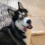 Profile Picture of Curtis Bell (@cbell.image) on Instagram