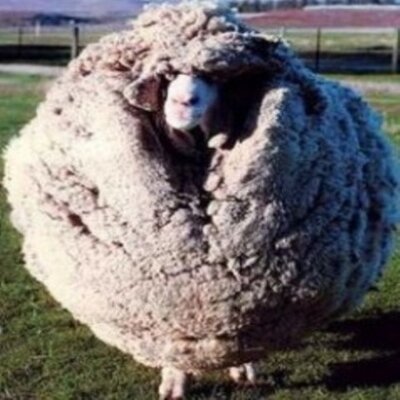 Profile Picture of Abby Moses (@abbypx1938) on Twitter