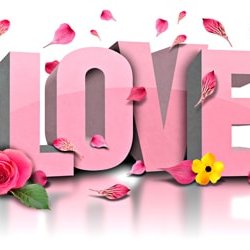 Profile Picture of Simon Hoadley (@SimoHoadley) on Twitter